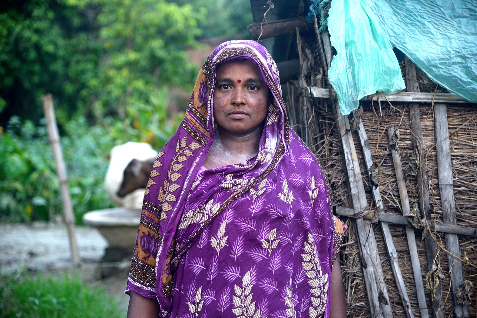 The Worried Mother