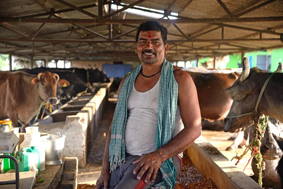 The Dream of My Own Dairy