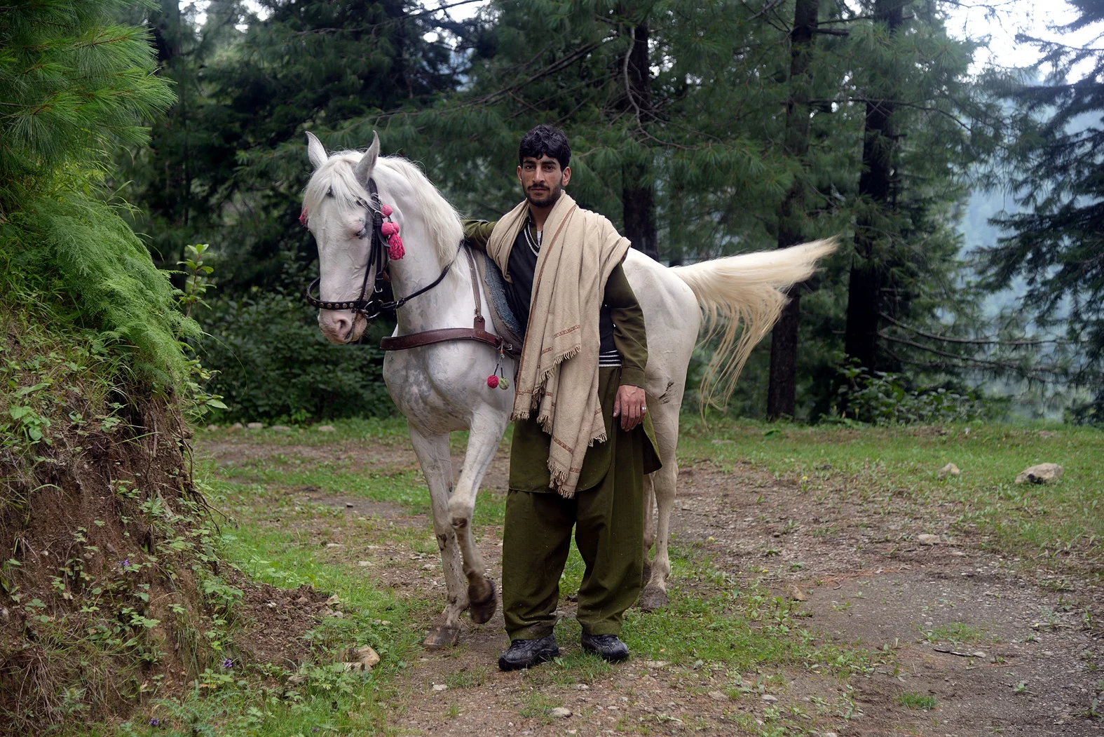 Love with Horses
