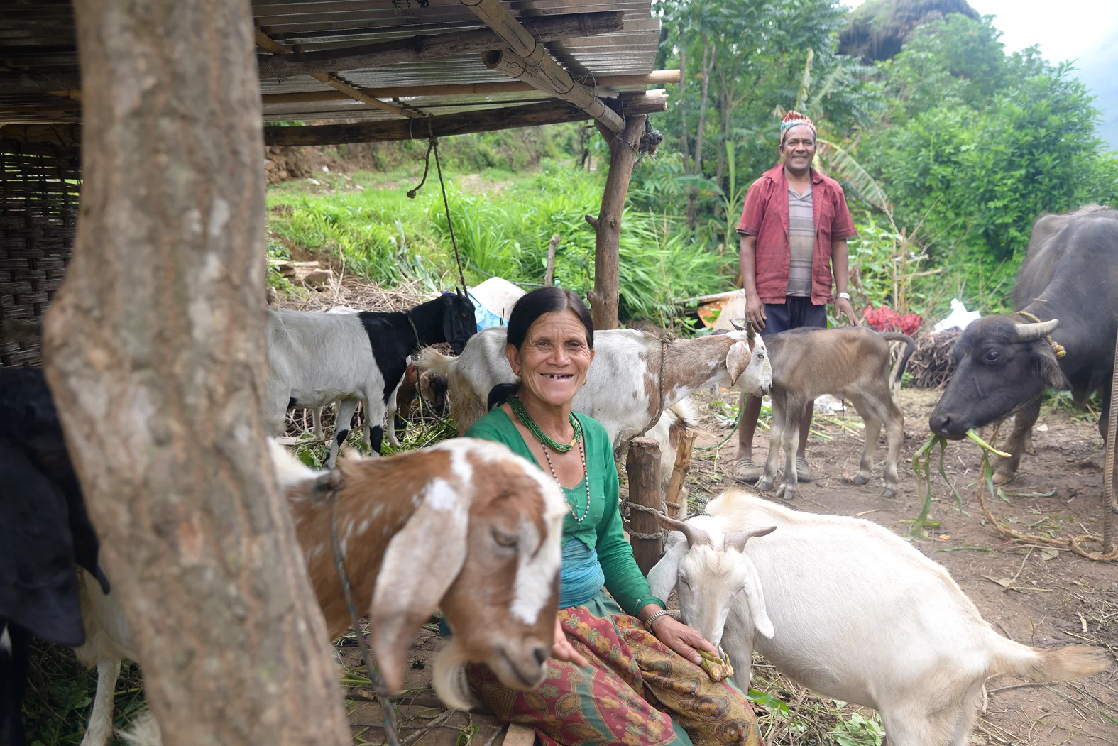Update of Relief for Ramri BiKa