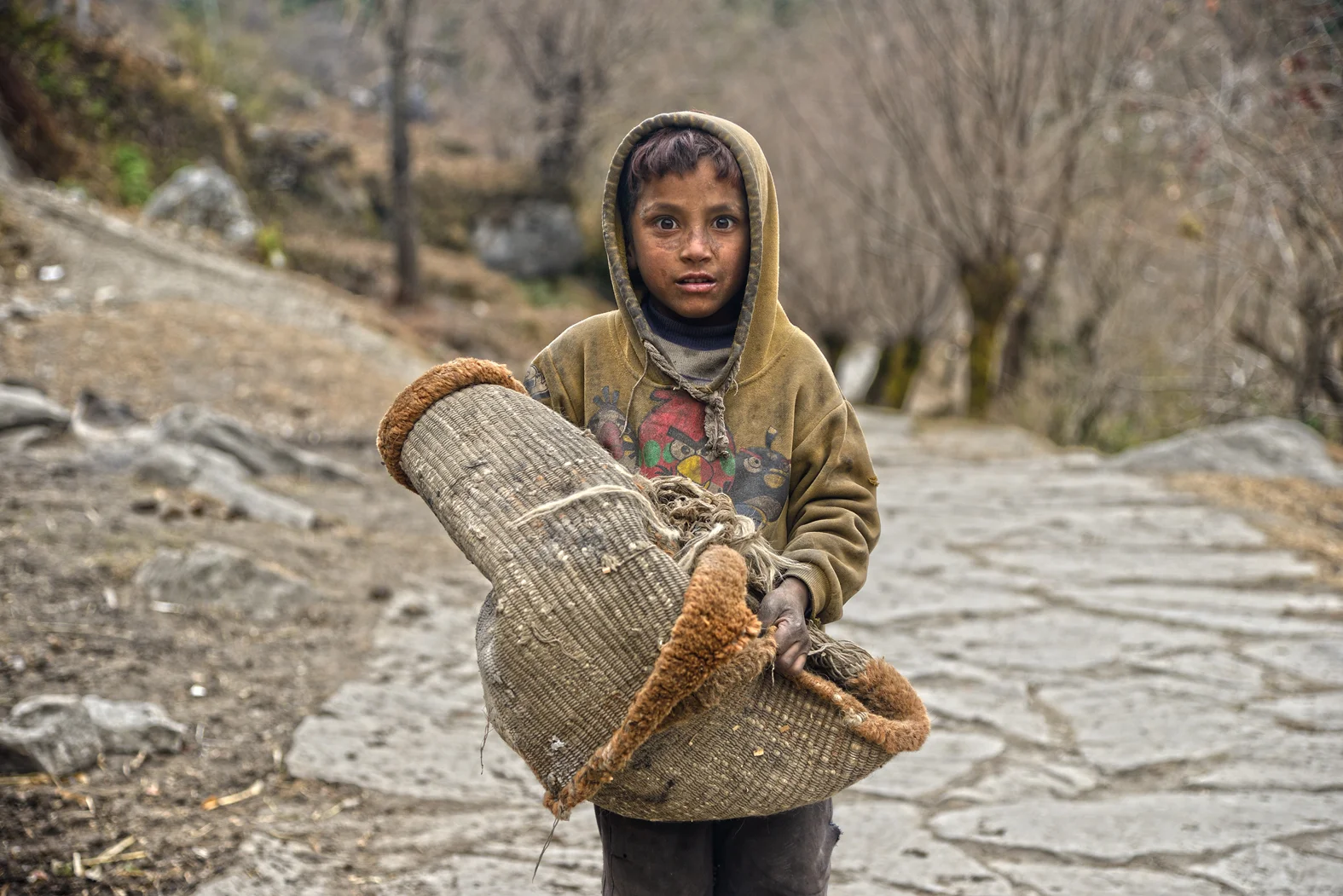 Firewood & Toys