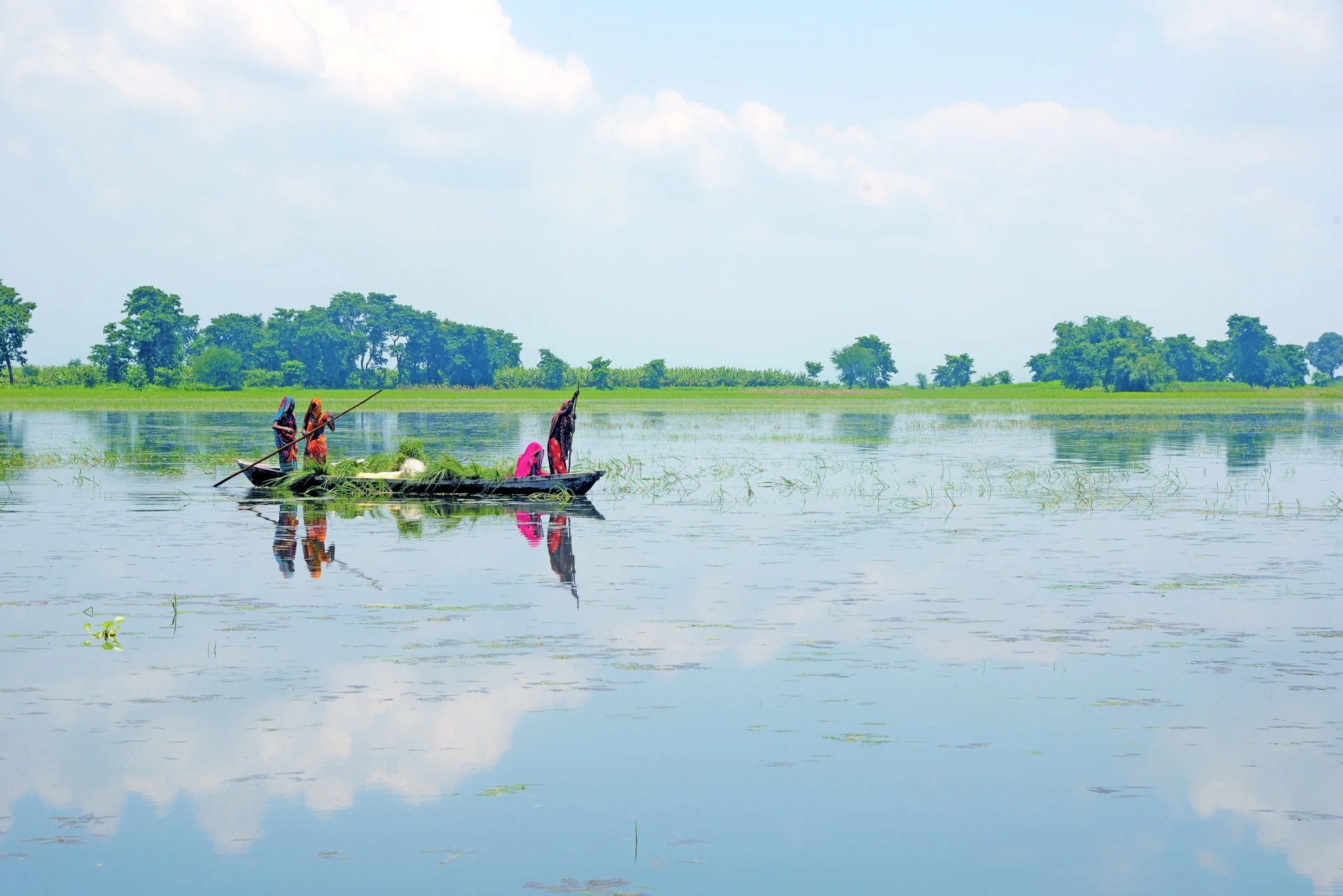 Koshi Tappu